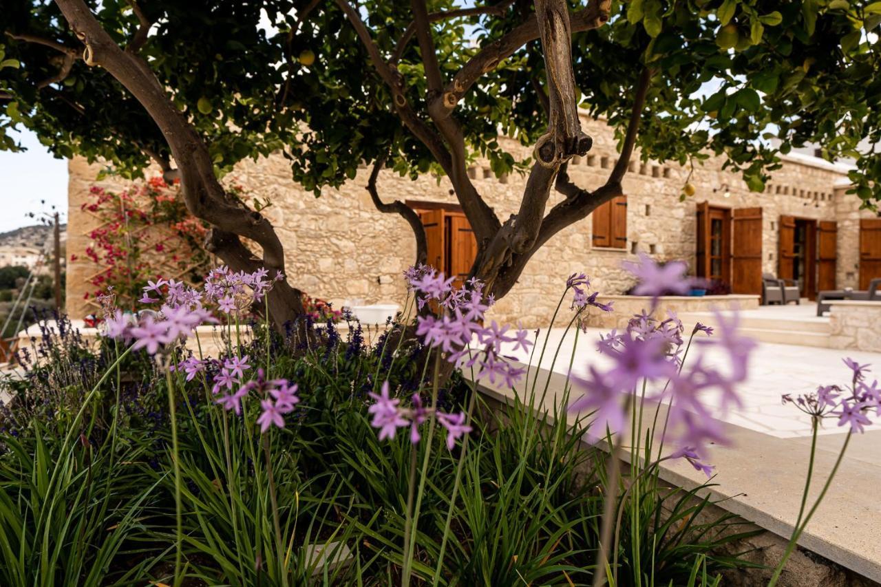 Harma Traditional Boutique Suites Paphos Buitenkant foto